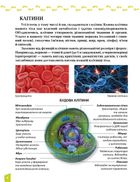 Енциклопедія для допитливих. Про тіло людини. Зображення №2