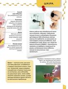 Енциклопедія для допитливих. Про тіло людини. Зображення №5