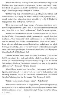 Moby Dick or, The Whale. Зображення №7