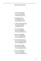Гей, колись була розкіш — воля. Зображення №8