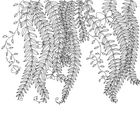 Дива мальовничих світів. Image №3