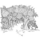 Дива мальовничих світів. Image №4