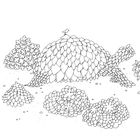 Дива мальовничих світів. Image №5