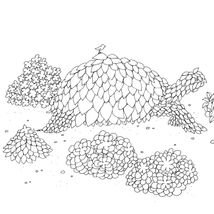 Дива мальовничих світів. Image №5