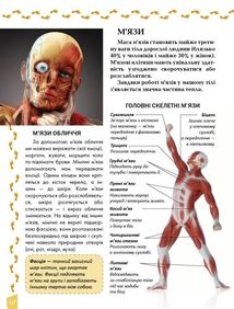 Енциклопедія для допитливих. Про тіло людини. Зображення №6