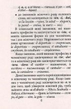 Граматика іспанської мови. Image №6