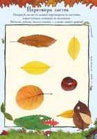 Ґруффало. Осінніми та зимовими стежками. Image №5