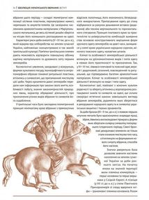 Еволюція українського вбрання. Сторінки історії. Image №9