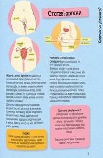 Поговоримо про любов. Я, кохання та дружба. 9-11 років. Зображення №7