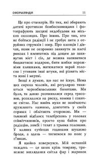 Оформляндія. Чормет. Ряска. Зображення №7