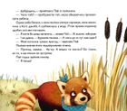 Мала панда Пай. Зображення №6