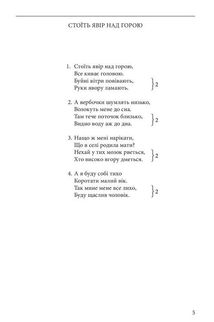 Ой, там, за Дунаєм. Image №6