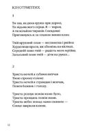 На срібнім березі. Image №9