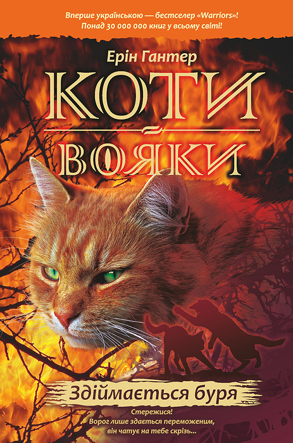 Обкладинка Коти-вояки. Здіймається буря