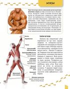Енциклопедія для допитливих. Про тіло людини. Зображення №7