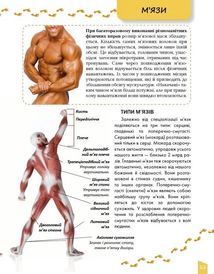 Енциклопедія для допитливих. Про тіло людини. Зображення №7