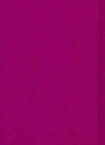 Так ніхто не кохав. Image №2