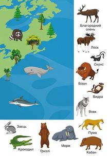 Перші розвивальні наліпки. Тварини. 33 наліпки. Зображення №6