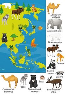 Перші розвивальні наліпки. Тварини. 33 наліпки. Зображення №8