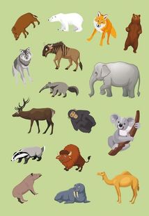 Перші розвивальні наліпки. Тварини. 33 наліпки. Зображення №9