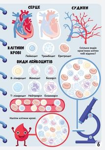 Меганаліпки. Тіло людини. Зображення №8