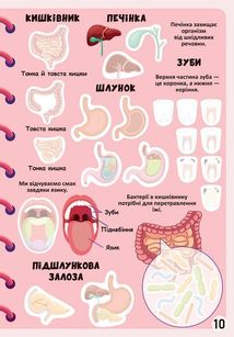 Меганаліпки. Тіло людини. Зображення №10
