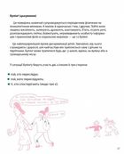 Геть! Твоє право на протест. Image №12