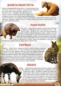 Ілюстрований атлас живої природи. Image №7