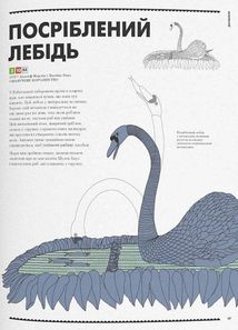 Роботландія. Зображення №9