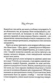 Остання камелія. Image №3