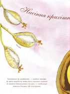 Насіння сонливе. Зображення №4