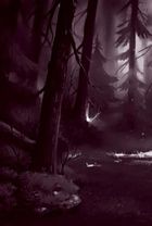 Північне сяйво. Вікінги й Оракул. Книга 2. Зображення №5