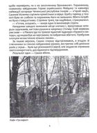 Сашко Білий: життя, мов спалах. Image №4