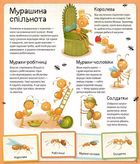 Світ мурах. Зображення №6