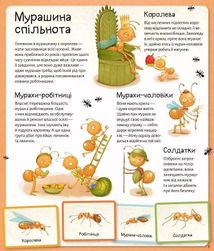 Світ мурах. Зображення №6