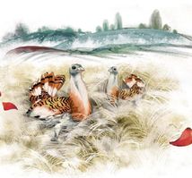 Стріла степу. Image №7