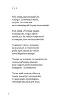 Стус. Палімпсести. Вибране. Зображення №3