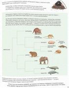Усе, що ти знаєш про динозаврів, — неправда!. Зображення №7
