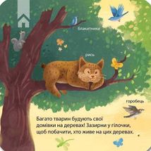 Зазирни у віконечко. Хто живе у лісі?. Зображення №9