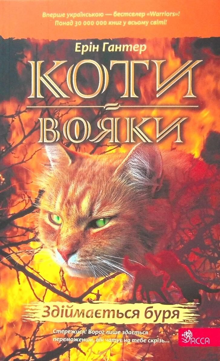 Коти-вояки. Здіймається буря