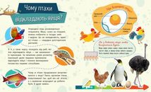 Чомусики. Тварини . Image №3