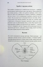 Чому мені ніхто не сказав? Як захищати, зцілювати та плекати своє тіло через материнство. Зображення №4