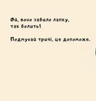 Витри слізки зайченяті. Зображення №12