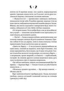 Завірюха. Кольоровий зріз. Image №9
