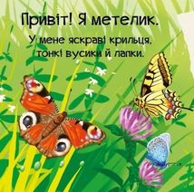 Знайомся, я комашка. Image №4
