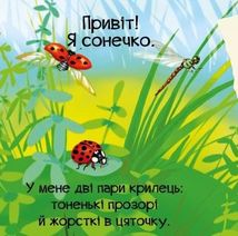 Знайомся, я комашка. Image №6