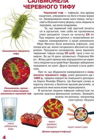 Велика книжка. Бактерії. 6+ — фото 5