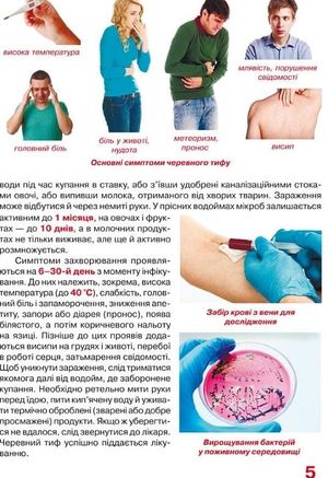 Велика книжка. Бактерії. 6+ — фото 6