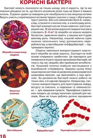 Велика книжка. Бактерії. 6+ — фото 7