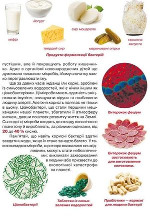 Велика книжка. Бактерії. 6+ — фото 8